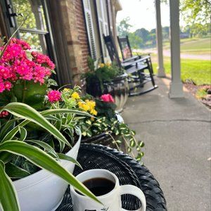 Meet your Posher, Tracey